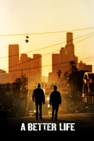 A Better Life (2011) Hindi Dual Audio 300MB
