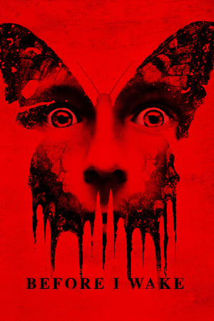 Before I Wake (2016) Hindi Dubbed [900MB]