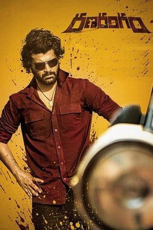 Ranarangam 2019 (Hindi – Telugu) Dual Audio 450MB